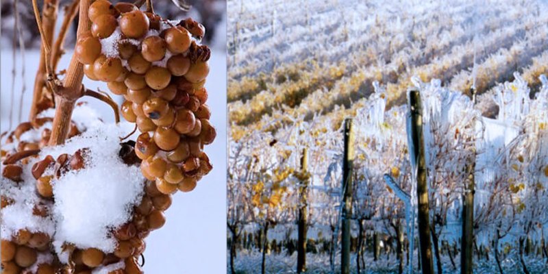 The Pulse: Chattanooga Whiskey Unveils Their New Moldovan Ice Wine Cask Finished Whiskey